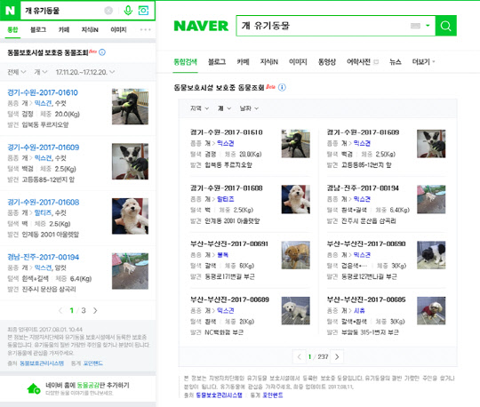 네이버가 제공하는 동물보호센터의 '유기·실종동물 정보' 제공 서비스 이미지<네이버 제공>
